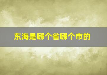 东海是哪个省哪个市的