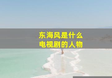 东海风是什么电视剧的人物