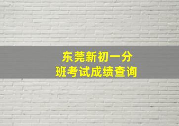 东莞新初一分班考试成绩查询