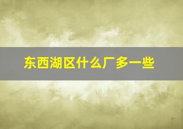 东西湖区什么厂多一些