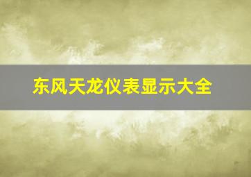 东风天龙仪表显示大全