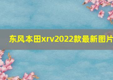 东风本田xrv2022款最新图片