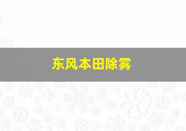 东风本田除雾