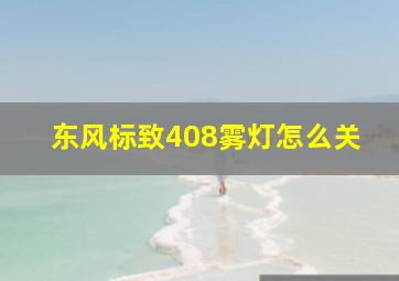 东风标致408雾灯怎么关