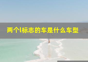 两个l标志的车是什么车型