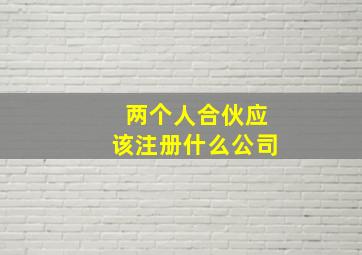 两个人合伙应该注册什么公司