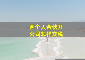 两个人合伙开公司怎样交税