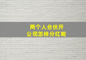 两个人合伙开公司怎样分红呢