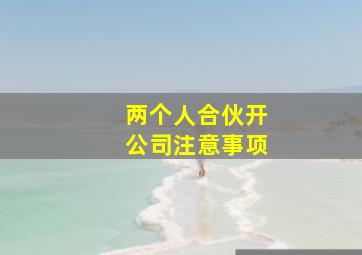 两个人合伙开公司注意事项