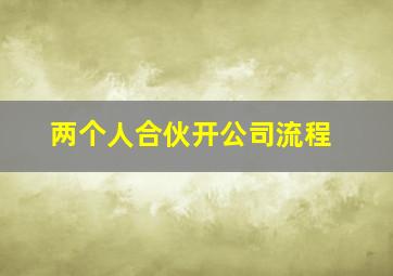 两个人合伙开公司流程