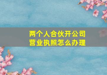 两个人合伙开公司营业执照怎么办理