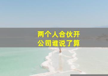 两个人合伙开公司谁说了算