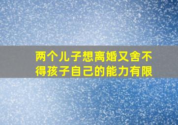 两个儿子想离婚又舍不得孩子自己的能力有限