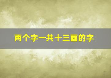 两个字一共十三画的字