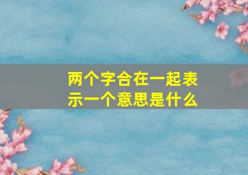 两个字合在一起表示一个意思是什么