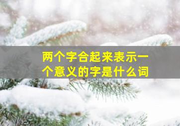 两个字合起来表示一个意义的字是什么词