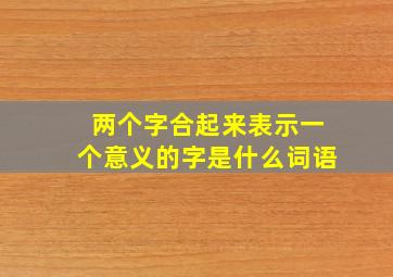 两个字合起来表示一个意义的字是什么词语