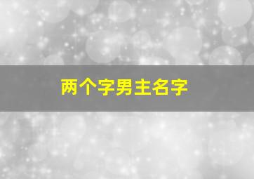 两个字男主名字