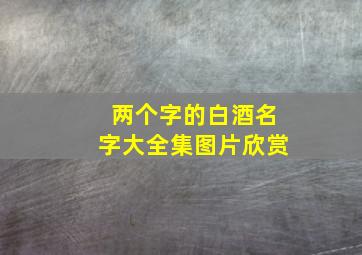 两个字的白酒名字大全集图片欣赏