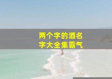 两个字的酒名字大全集霸气