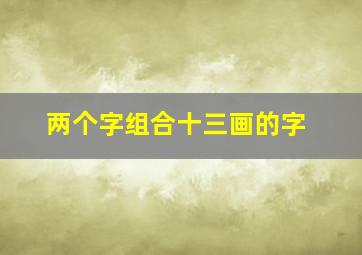 两个字组合十三画的字