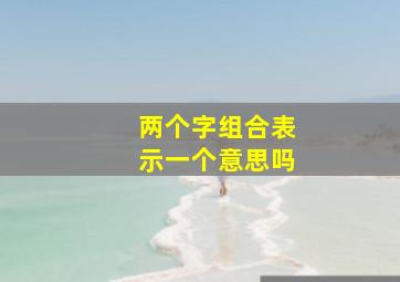 两个字组合表示一个意思吗