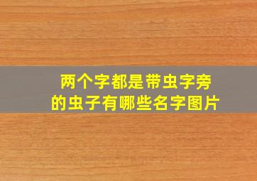 两个字都是带虫字旁的虫子有哪些名字图片