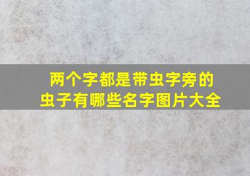 两个字都是带虫字旁的虫子有哪些名字图片大全