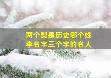 两个梨是历史哪个姓李名字三个字的名人