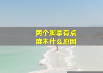 两个脚掌有点麻木什么原因