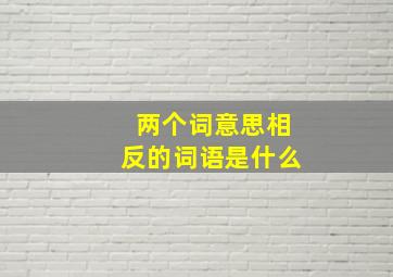 两个词意思相反的词语是什么