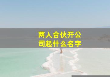 两人合伙开公司起什么名字