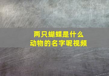 两只蝴蝶是什么动物的名字呢视频