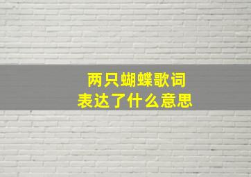 两只蝴蝶歌词表达了什么意思