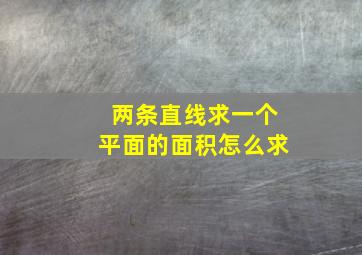 两条直线求一个平面的面积怎么求