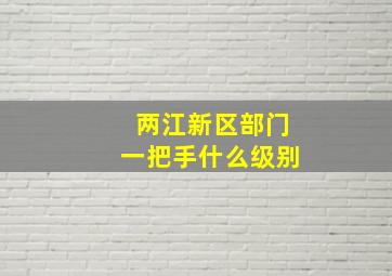 两江新区部门一把手什么级别