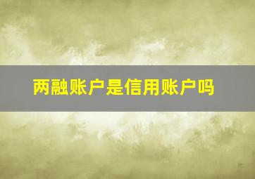 两融账户是信用账户吗