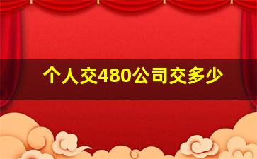 个人交480公司交多少