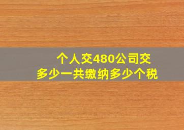 个人交480公司交多少一共缴纳多少个税