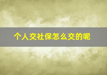 个人交社保怎么交的呢