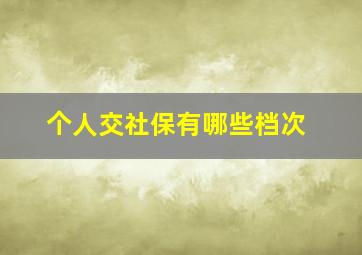 个人交社保有哪些档次