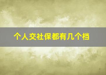 个人交社保都有几个档