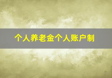 个人养老金个人账户制