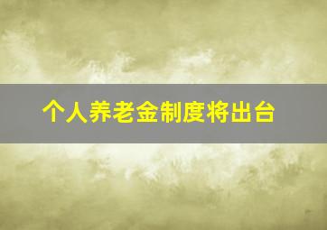 个人养老金制度将出台