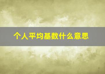 个人平均基数什么意思