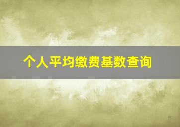 个人平均缴费基数查询