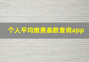 个人平均缴费基数查询app