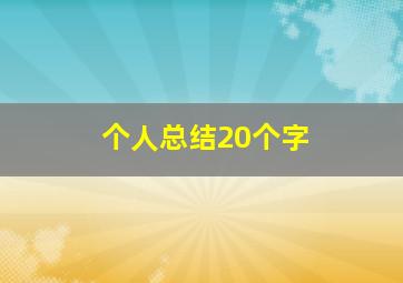 个人总结20个字