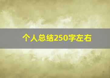 个人总结250字左右