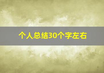 个人总结30个字左右